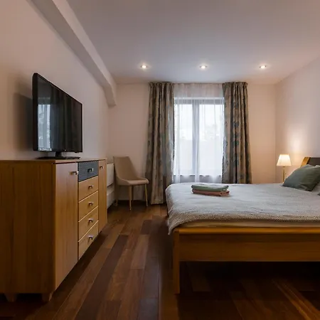 Terrace View Apartment Timişoara