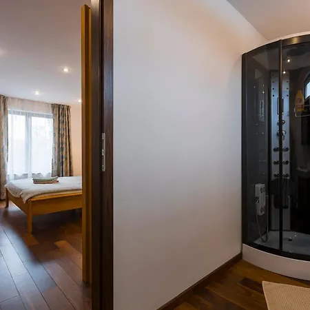 Apartment Terrace View Timişoara