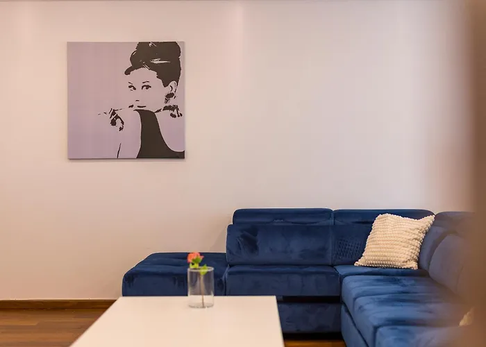 Apartament Terrace View Timişoara