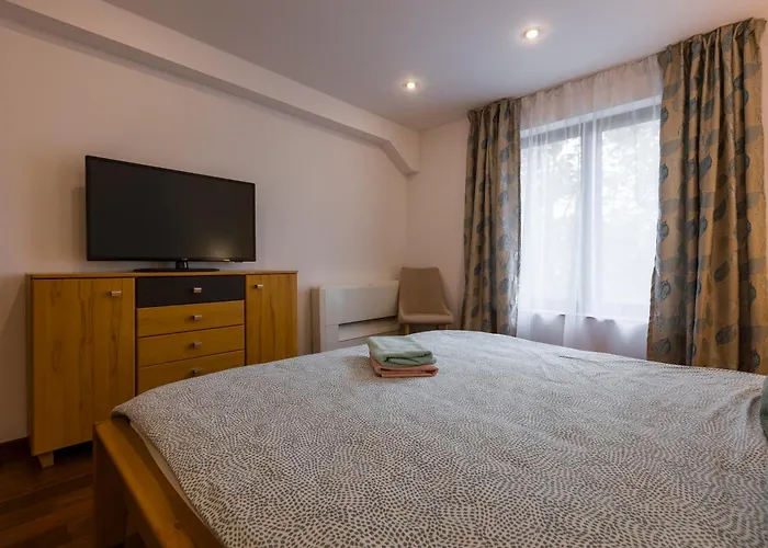 Apartament Terrace View Timişoara