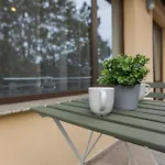 Terrace View