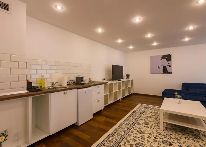 Terrace View Тімішоара